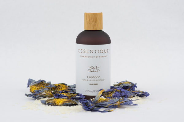A New And Blue Euphoria Essentique